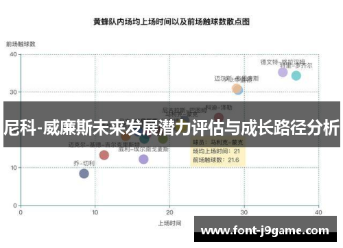 尼科-威廉斯未来发展潜力评估与成长路径分析