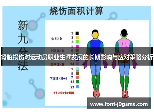 肾脏损伤对运动员职业生涯发展的长期影响与应对策略分析