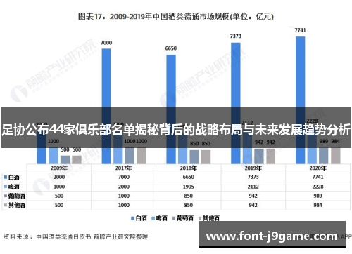 足协公布44家俱乐部名单揭秘背后的战略布局与未来发展趋势分析