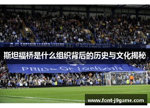 斯坦福桥是什么组织背后的历史与文化揭秘