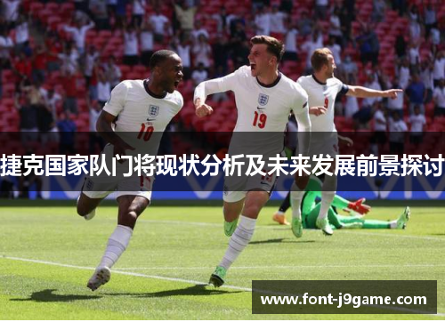 捷克国家队门将现状分析及未来发展前景探讨